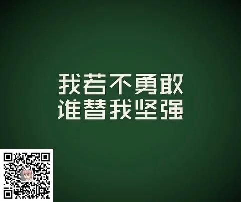 (图1)